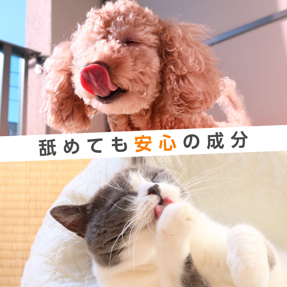 ミャオワン ボディタオル 300 無香料 300枚入