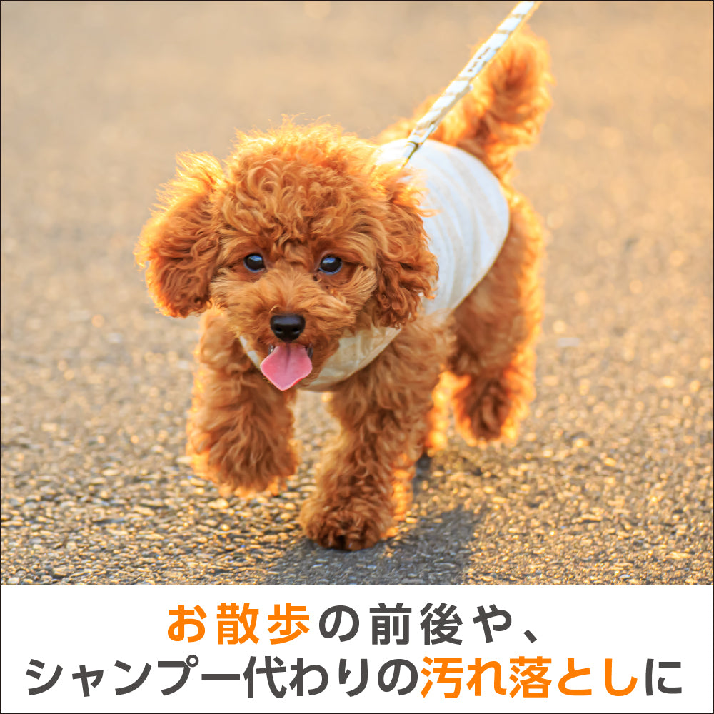 ミャオワン シャンプータオル 300 せっけんの香り 300枚入