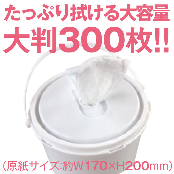 からだ用ウェット300 300枚入