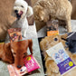小型犬用 ミャオワン Spot 4種セット